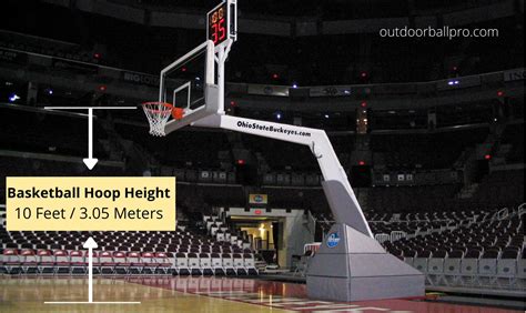 How Tall is NBA Basketball Hoop: A Dive into the Heights of Hoops and Beyond