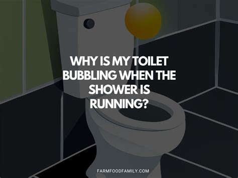 Why is My Toilet Bubbling When the Shower is Running: A Journey Through Plumbing Mysteries and Cosmic Connections